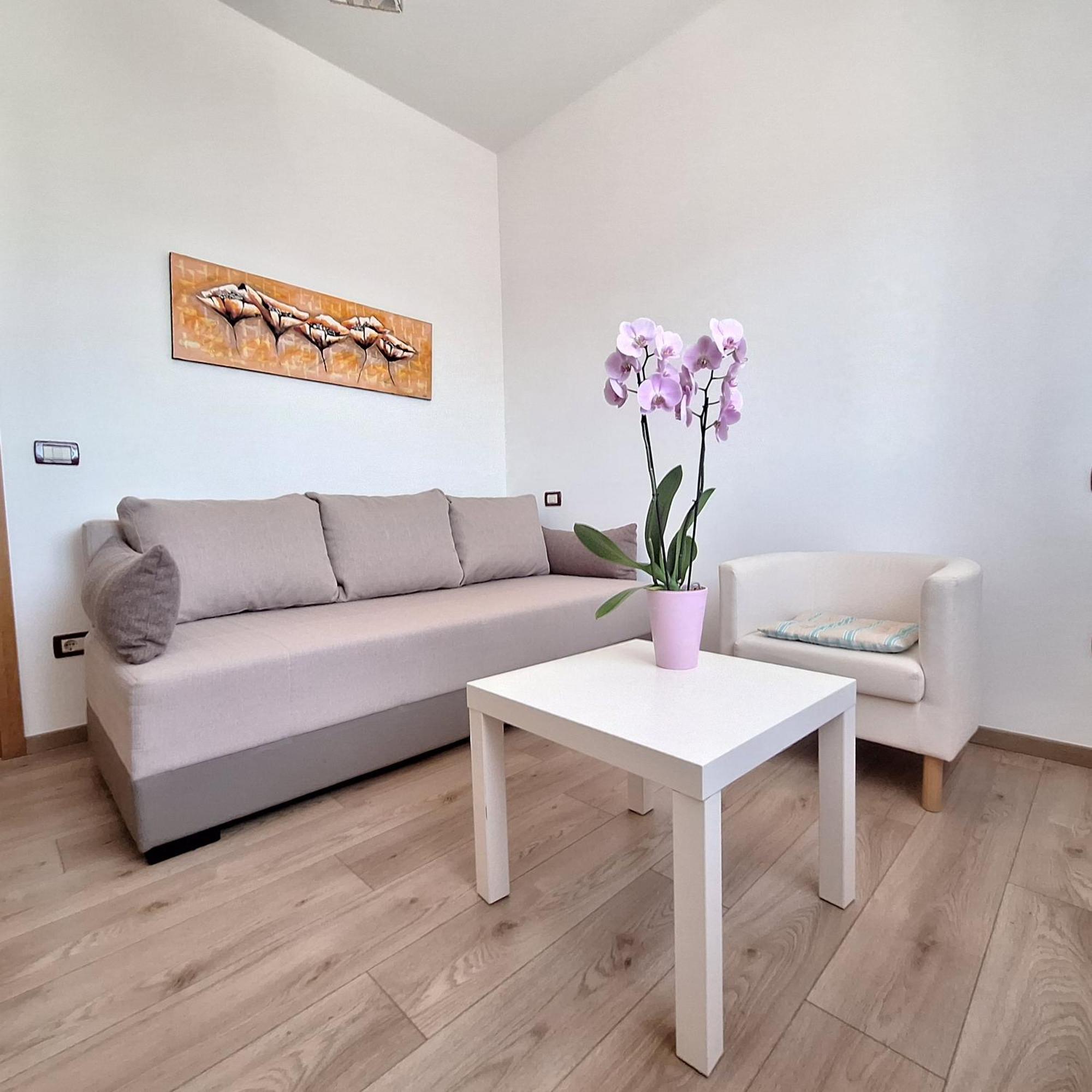 Apartment Mita Grožnjan Exterior foto